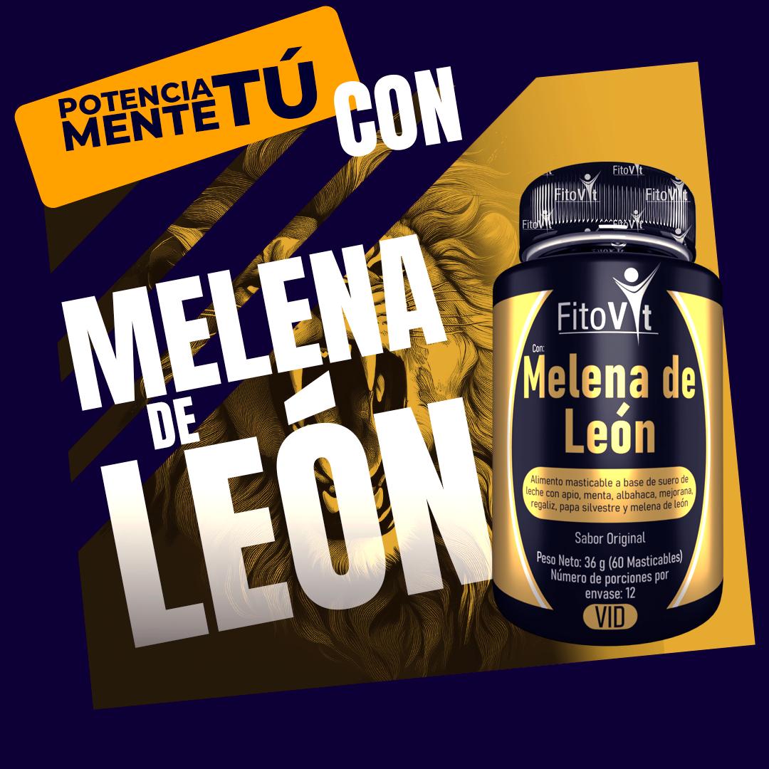 MELENA DE LEÓN X 60 UND